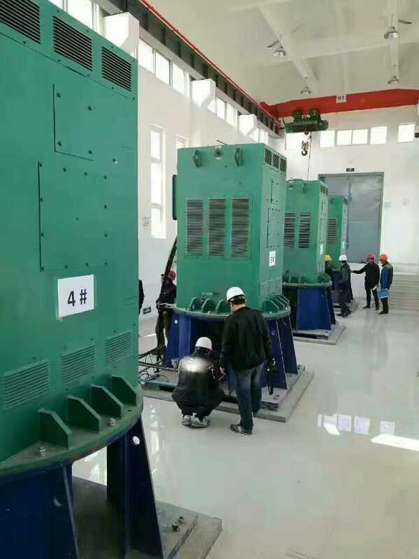 大岭山镇某污水处理厂使用我厂的立式高压电机安装现场生产厂家